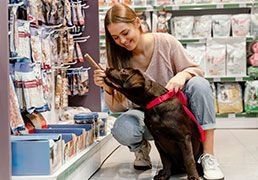 7 Passos para abrir uma Pet shop em Portugal